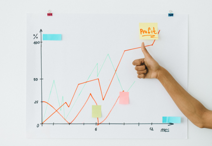 data maturity audit